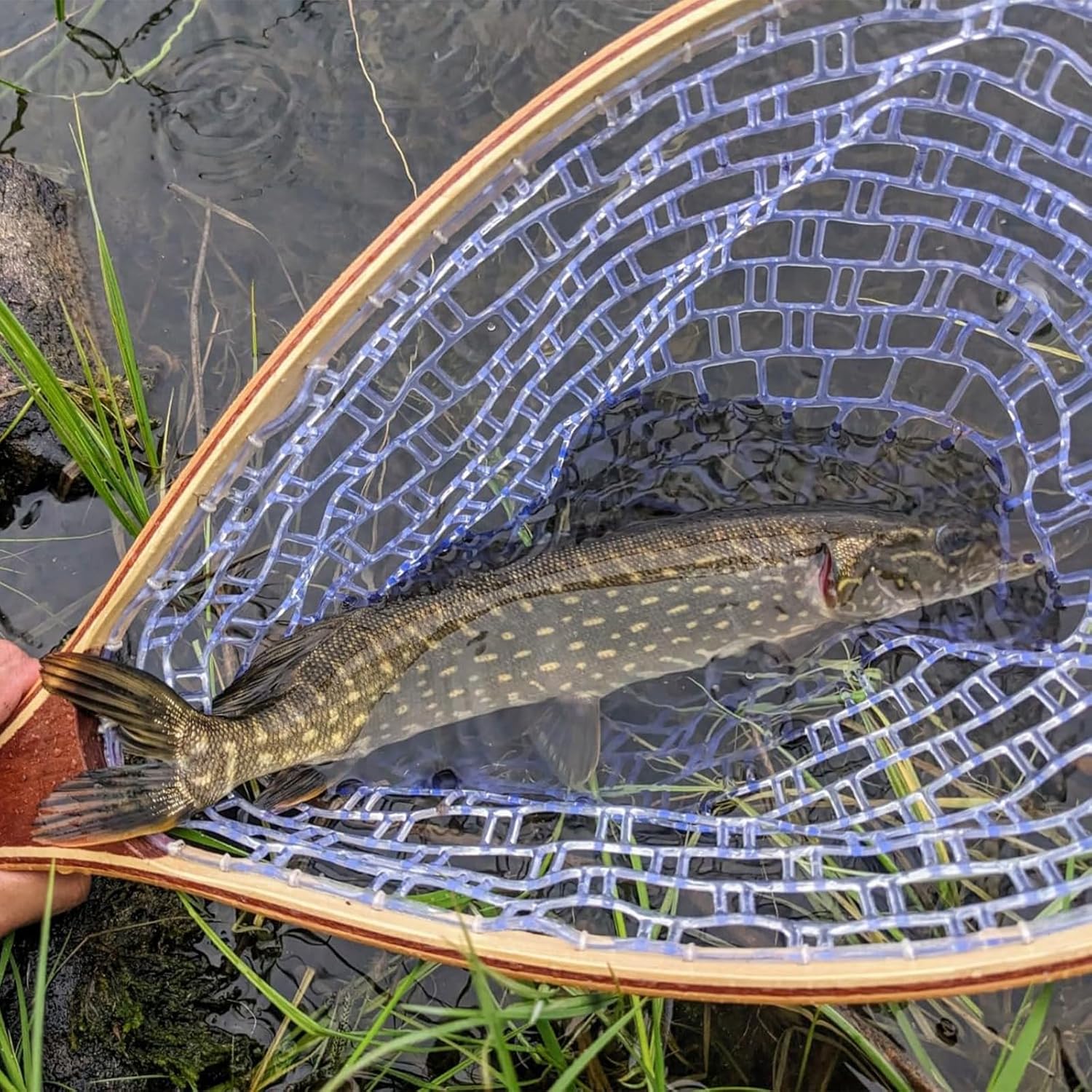 GarveeFishing Net - Image 3