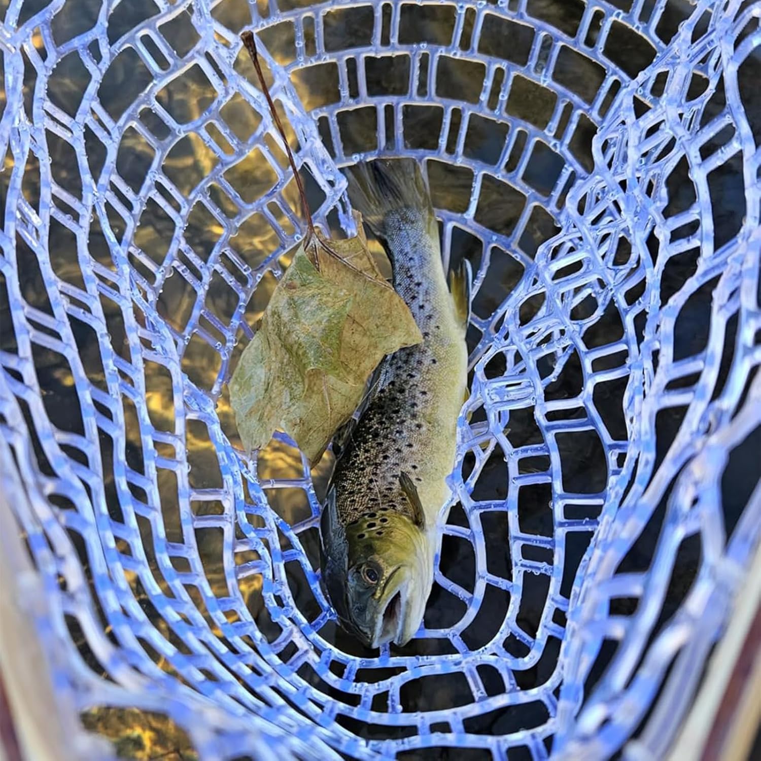 GarveeFishing Net - Image 5